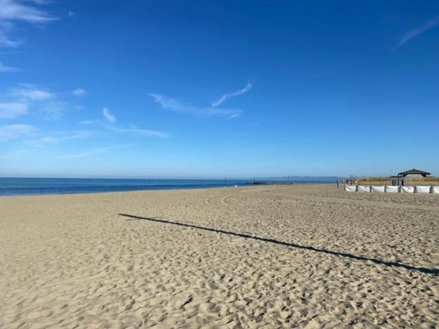 Casa Vacanza Surf & Kite Focene Екстериор снимка